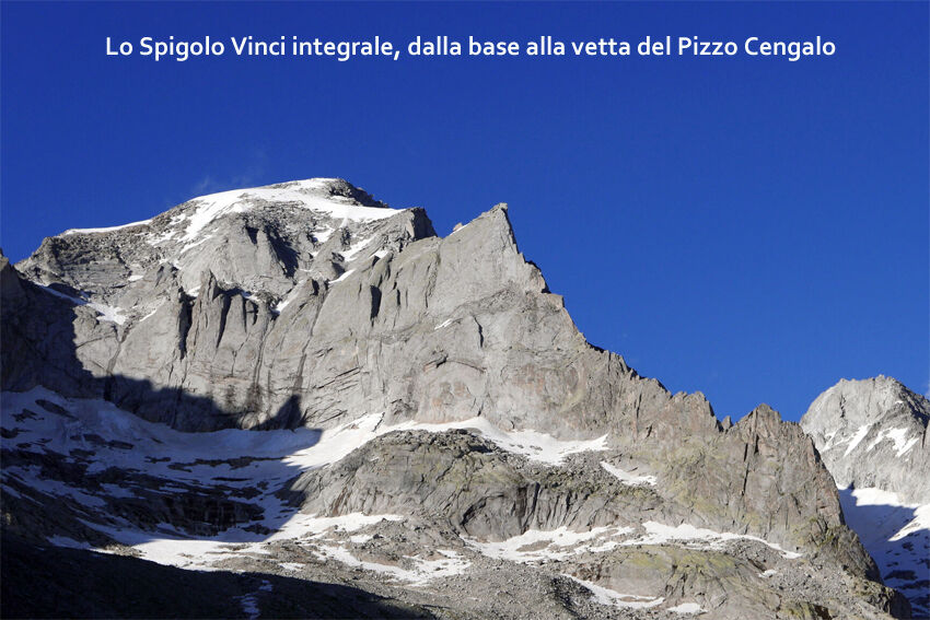 vinciintegrale