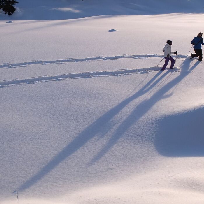 Snowshoeing at Campagneda