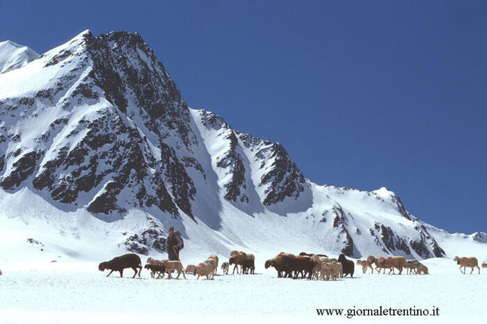 Palla Bianca, Fluchtkogel e Similaun