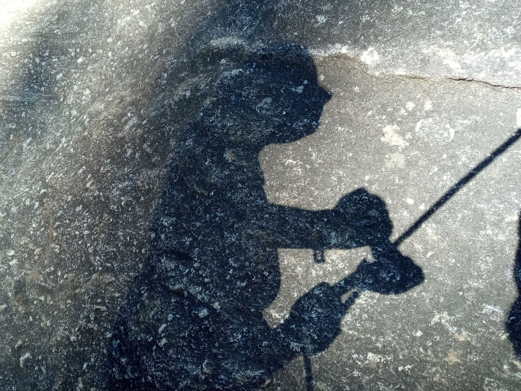 Corso di Arrampicata su Roccia