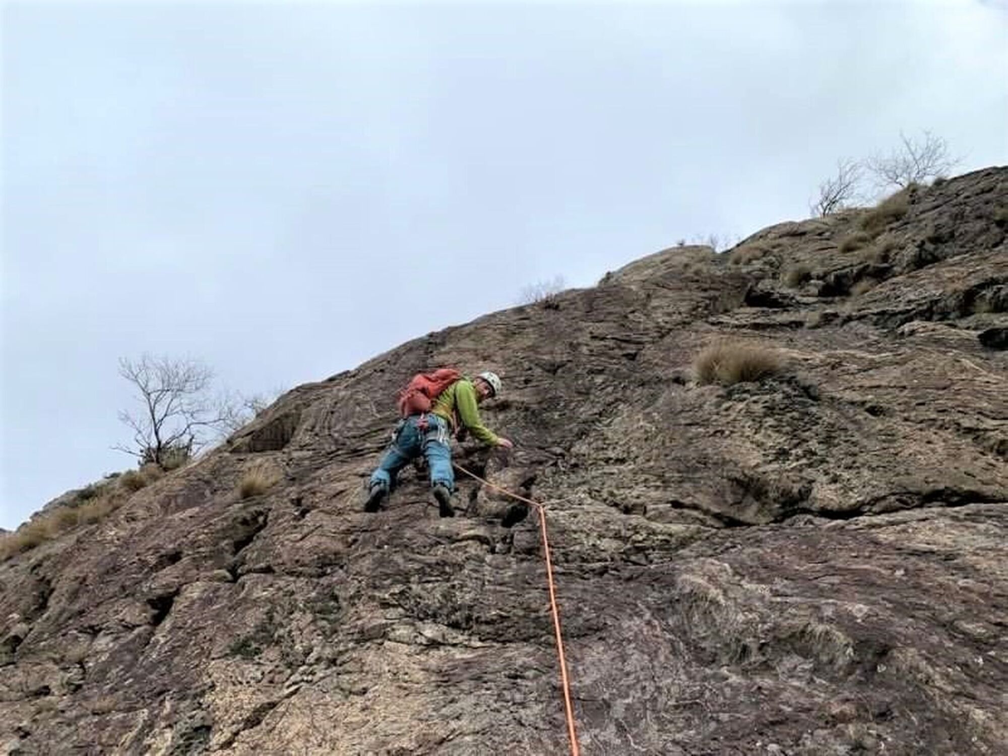 Dr Jimmi, Albard di Bard