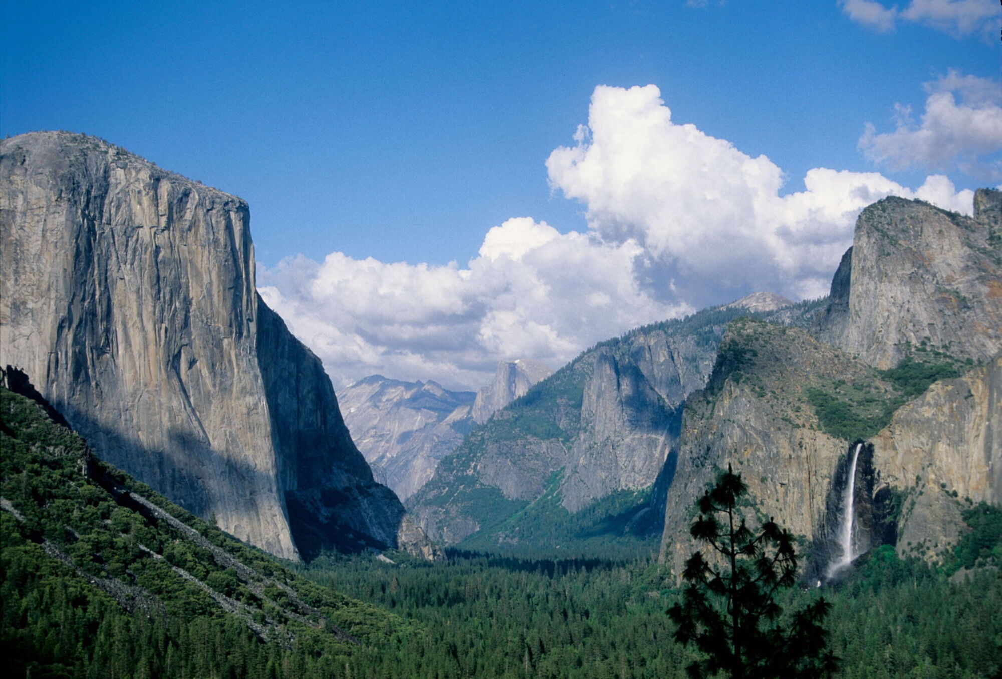Yosemite 2004